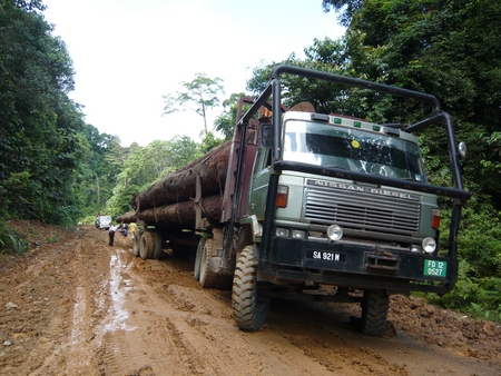 Logging in Danum Valley