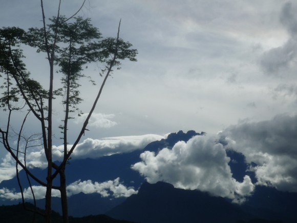 Den generte Kinesiske Enke (Mount Kinabalu) skjuler sig bag sit slør
